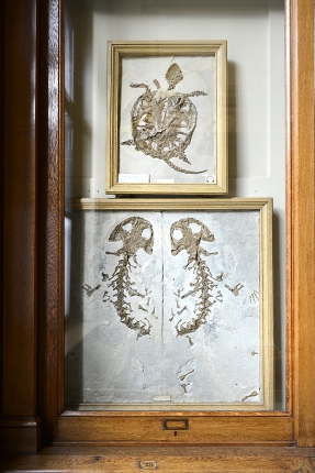 tylers museum 10-2023 9180